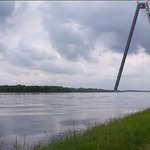 The Rhine Swing